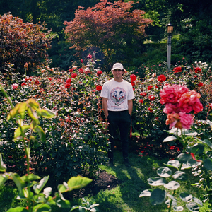 老公插女人视频
