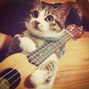 老公插女人视频
